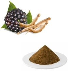 Siberische giseng extract