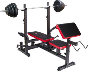 Pretorians Halterbank incl gewichten